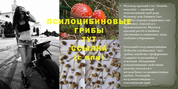 прущий лед Абдулино