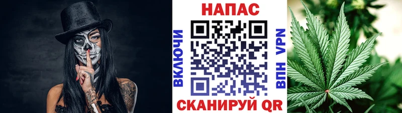 закладка  Заринск  Конопля MAZAR 